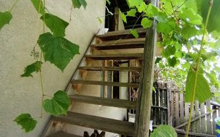 Casa 3 camere + Anexe, garaj, teren 2500 m2, an 1974, CT, Magurele, PH - Poză 6