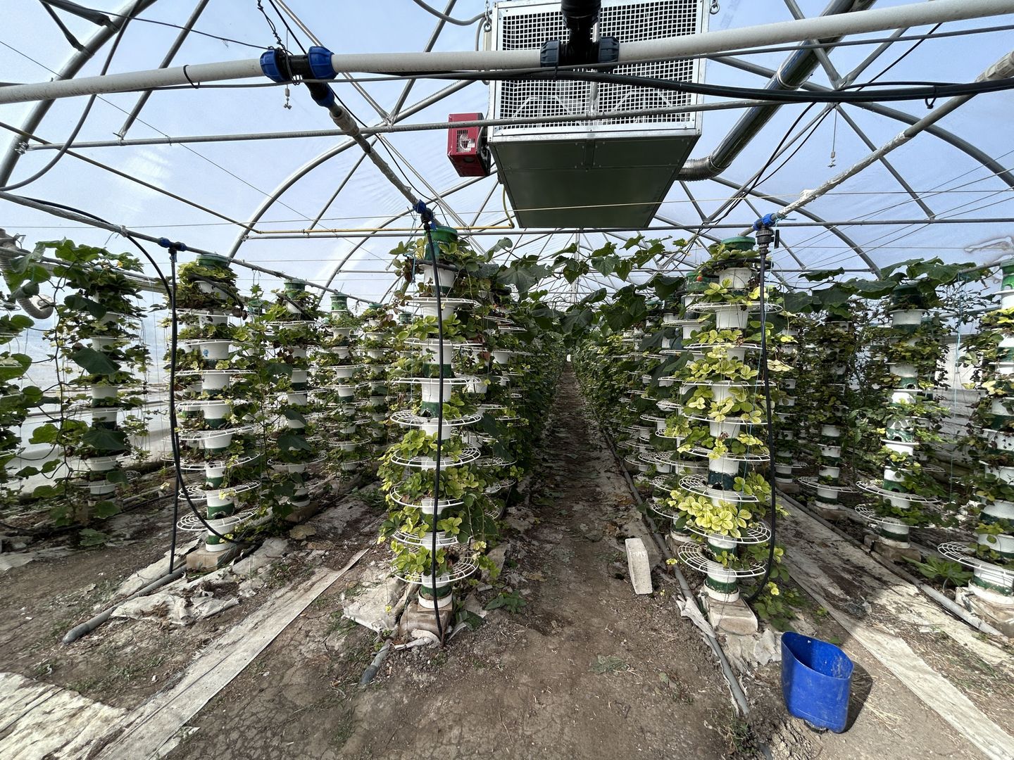 De vanzare-afacere la cheie - Poză 6