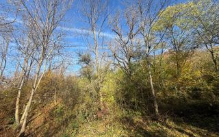 Teren langa pădure 6400mp+casa demolabila-deschidere 35 ml - Poză 11