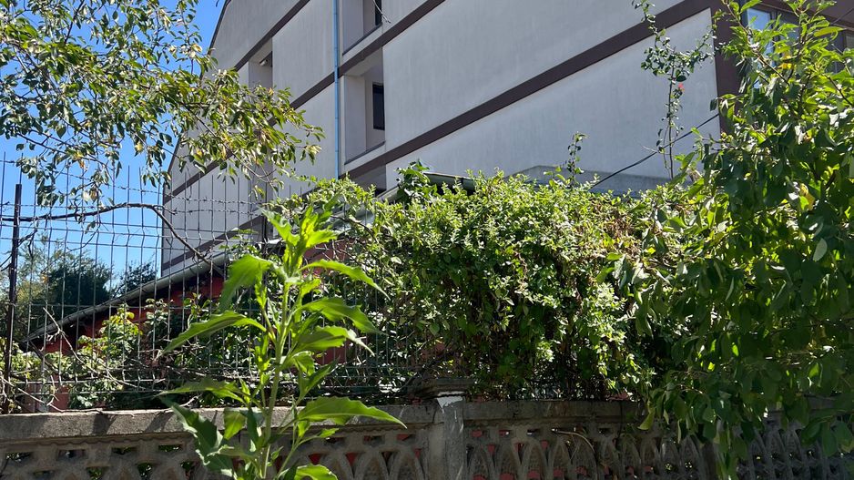 Teren str Renasterii Chitila - Poză 4