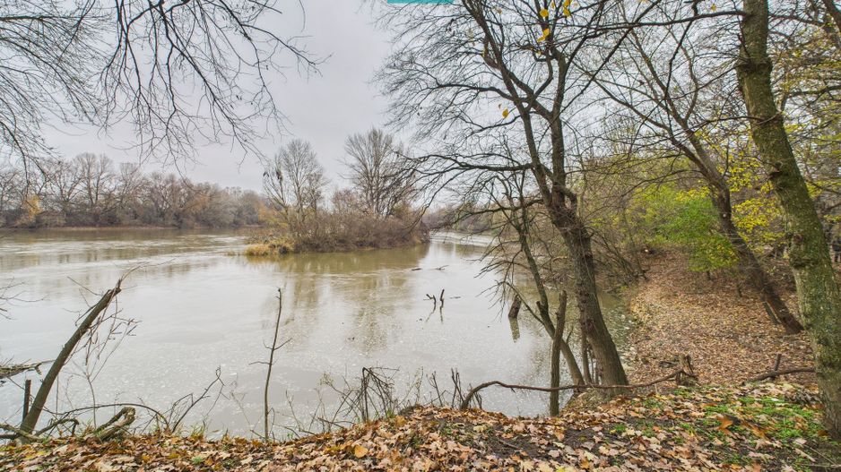 Teren spectaculos la  Periam Port - Poză 4