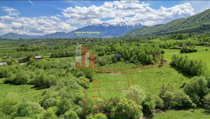 Teren intravilan 500 mp sau 1000 mp în Zarnesti –Tohanita incepand cu 17500 euro - Poză 6
