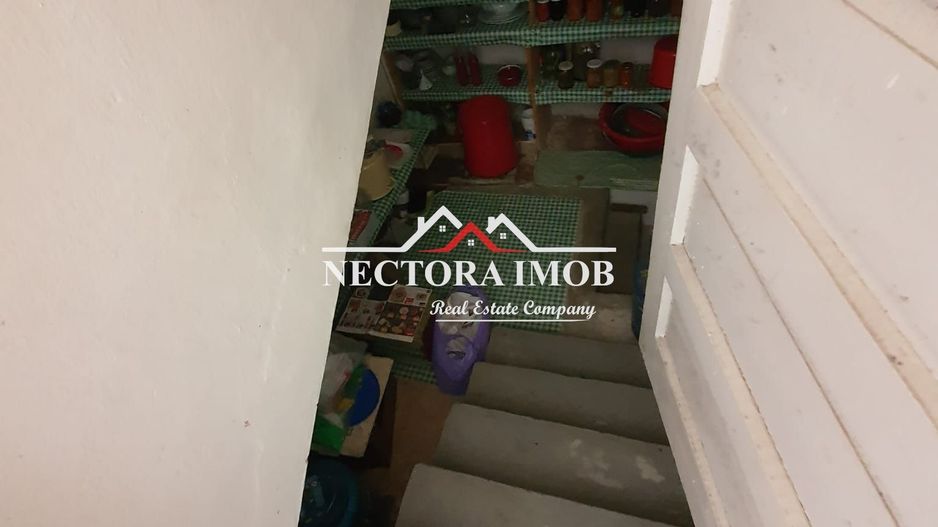 NECTORA IMOB Exclusivitate-Casa cu etaj tip Pensiune, 2300 mp, Soimi - Poză 13