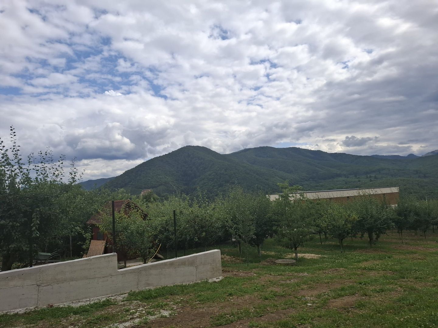 Teren intravilan-constructii în Cisnădioara - Apfel House – 940 mp - Poză 4