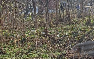 Casa batraneasca Bucium - 27000 - Poză 7