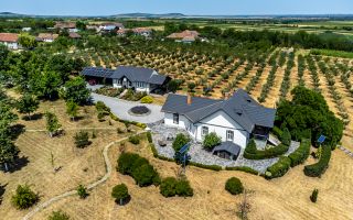 REZERVAT Visezi la o proprietate unică, plină de istorie și farmec? - Poză 13