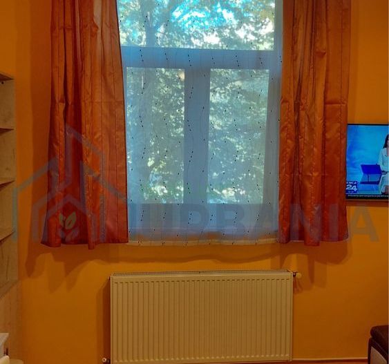 Persoană fizică - Garsonieră Copou/Universitate - Poză 6