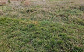 Teren 550 mp cu autorizatie de construire, Micesti - Poză 2