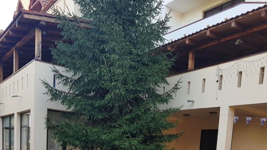 Hotel cu arhitectură montană deosebită poziționare premium Sâmbătă de Sus - Poză 2