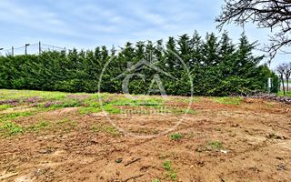 Teren intravilan de inchiriat in Santandrei, Bihor - Poză 4