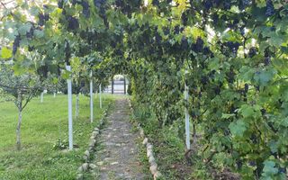 Teren Intravilan | 634 MP | Livada |Cisnadie - Poză 2