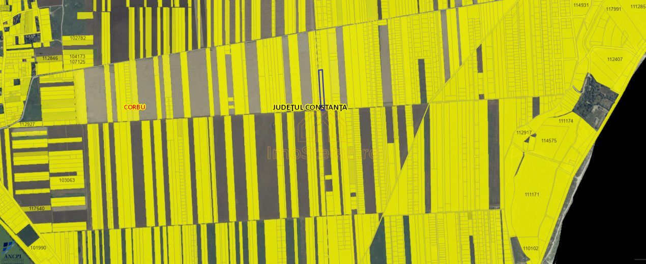 Corbu | Investeste in teren extravilan 5000 mp. - Poză 7