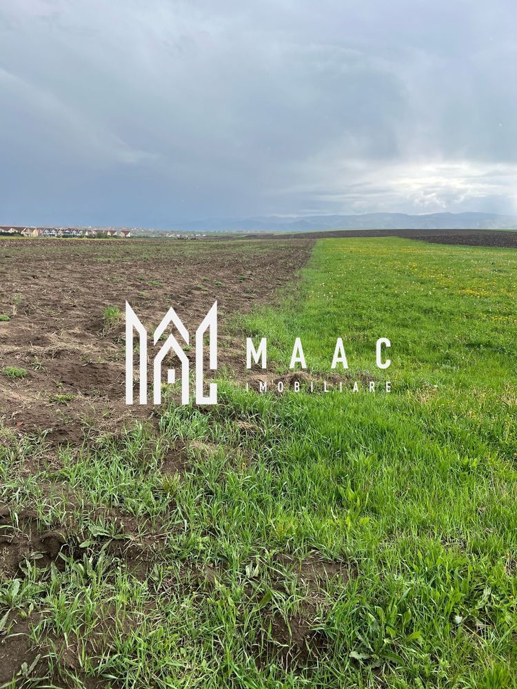 Teren de vanzare | 10.000 Mp | Sura Mica - Poză 1