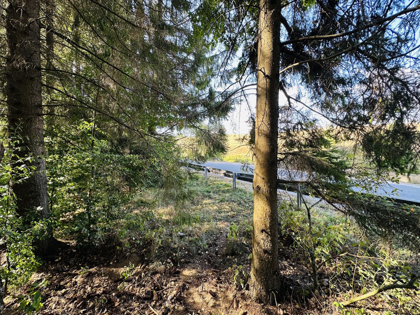 Un teren de vis cu deschidere la Lacul Trei Ape, Brebu Nou | Com 0% - Poză 5