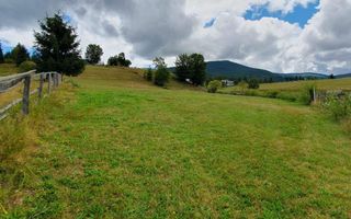 Teren 7000mp Arieseni - Poză 3