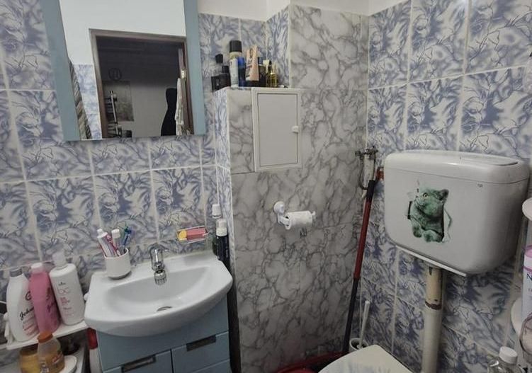 Apartament 2 camere semidecomandat, Valea Rosie - Poză 6