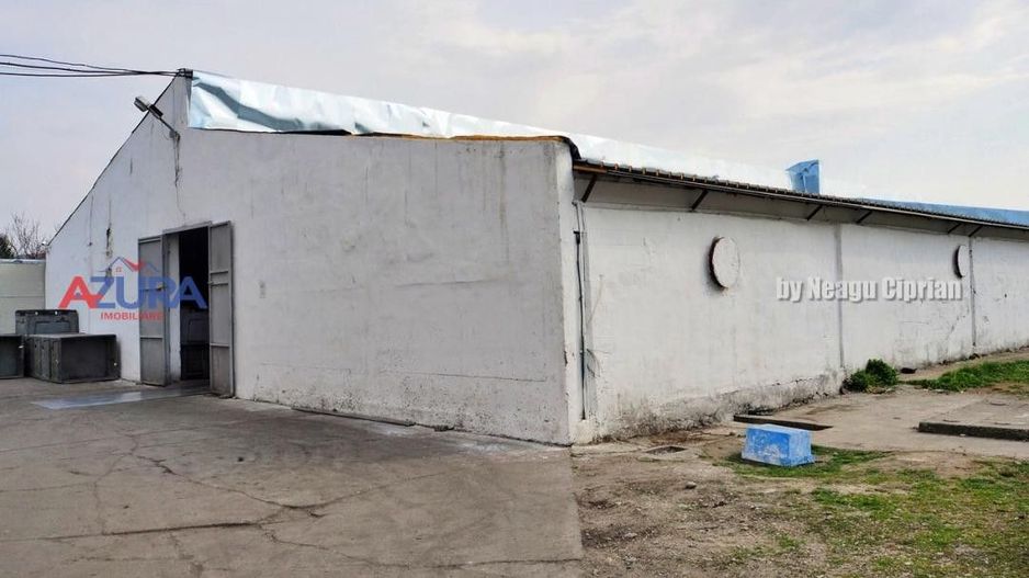 COMISION 0% - HALE Calinesti Arges - Poză 46