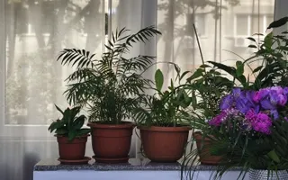 Sagului | 3 camere | 64 mp utili+balcon | centrala proprie | Et. 2\4 - Poză 13
