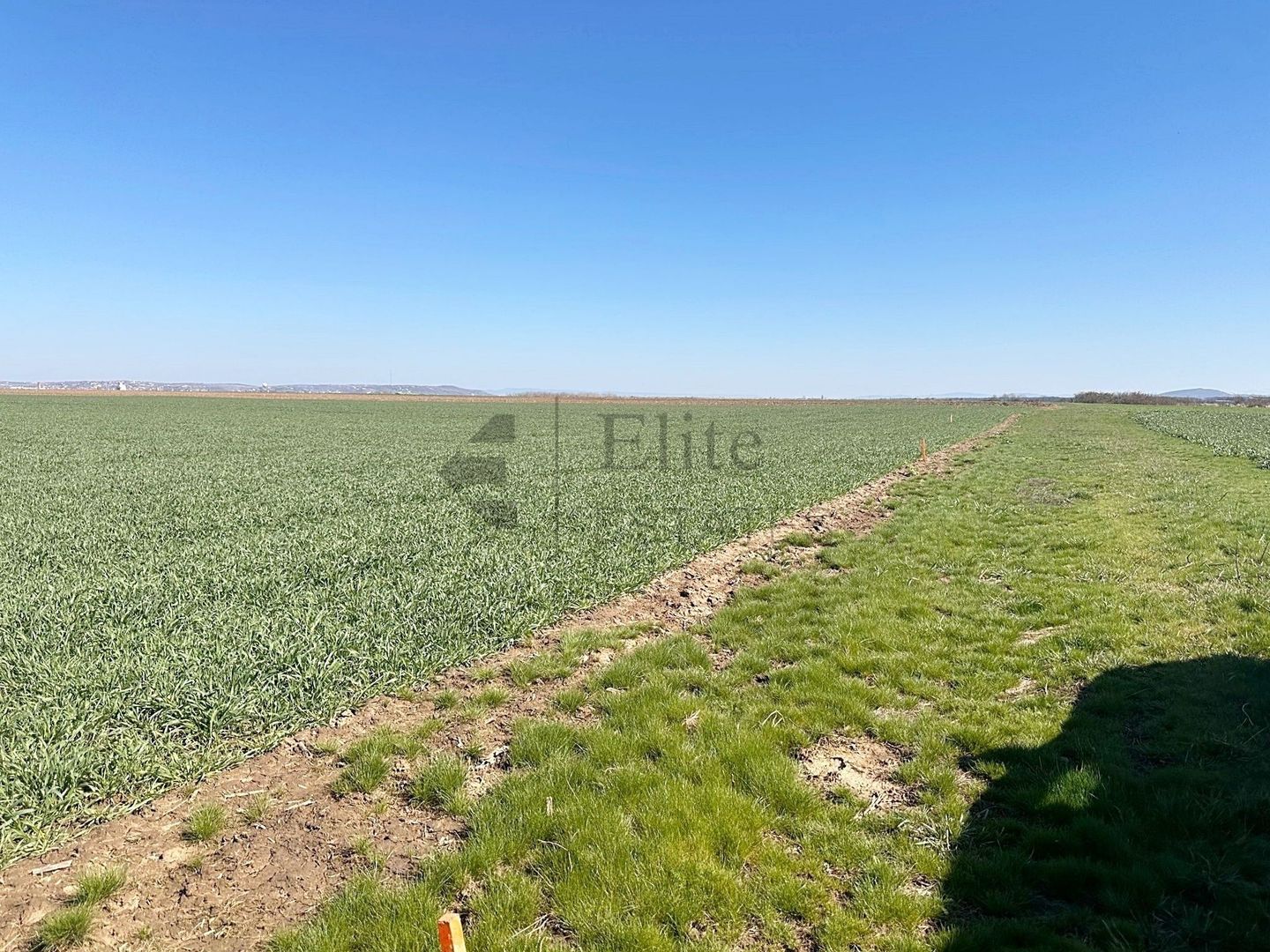 Teren 20.141 mp de vanzare in zona Aeroportului Oradea - Poză 1