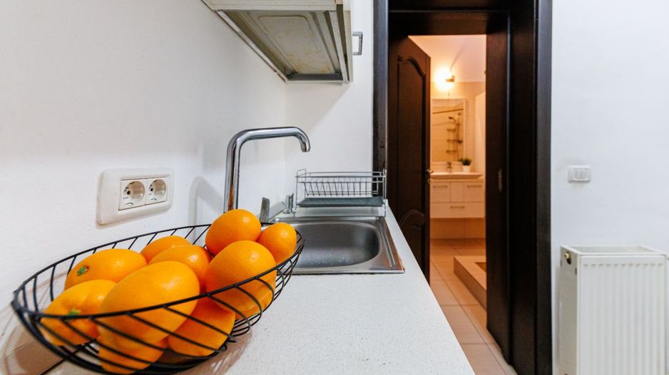Apartament cochet – pe malul Begai, aproape de centrul orasului! - Poză 12
