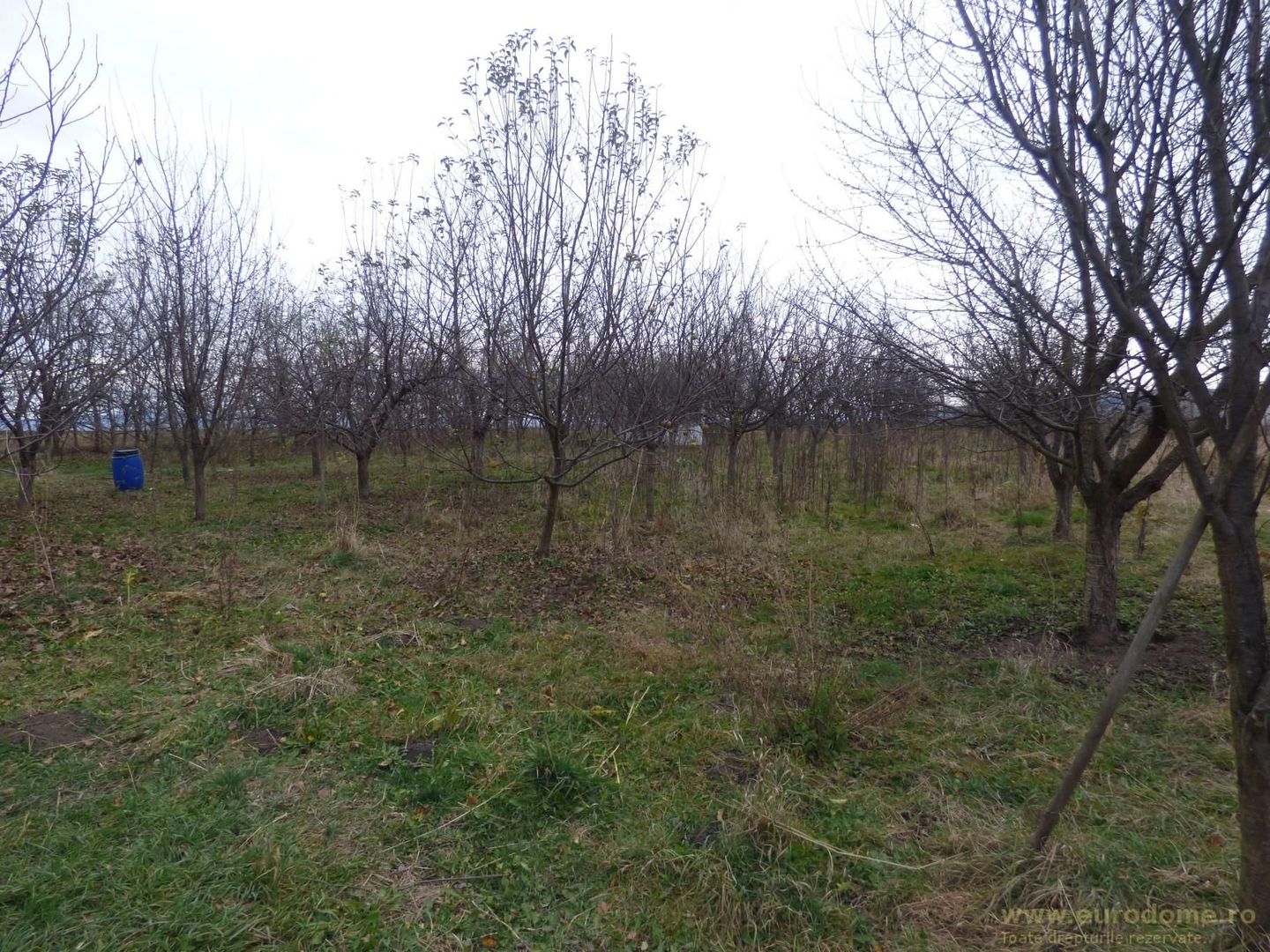 Proprietate deosebita - casa cu curte si livada - Poză 5