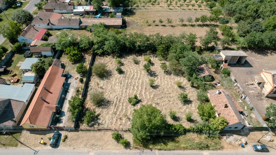 Casă cu teren 3332mp în Bătania - Poză 18