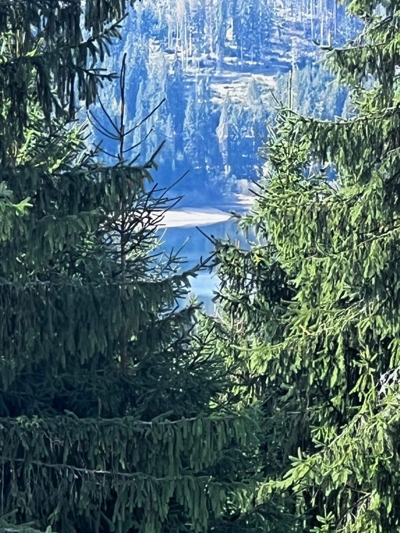 Cabana Exclusivista de vanzare in Belis - Cluj + 14.715 mp teren - Poză 11