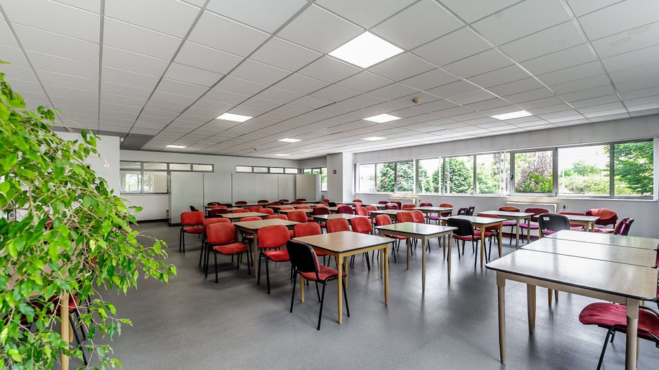 Oportunitate: Hală de producție și depozitare cu birouri în Arad - Poză 15