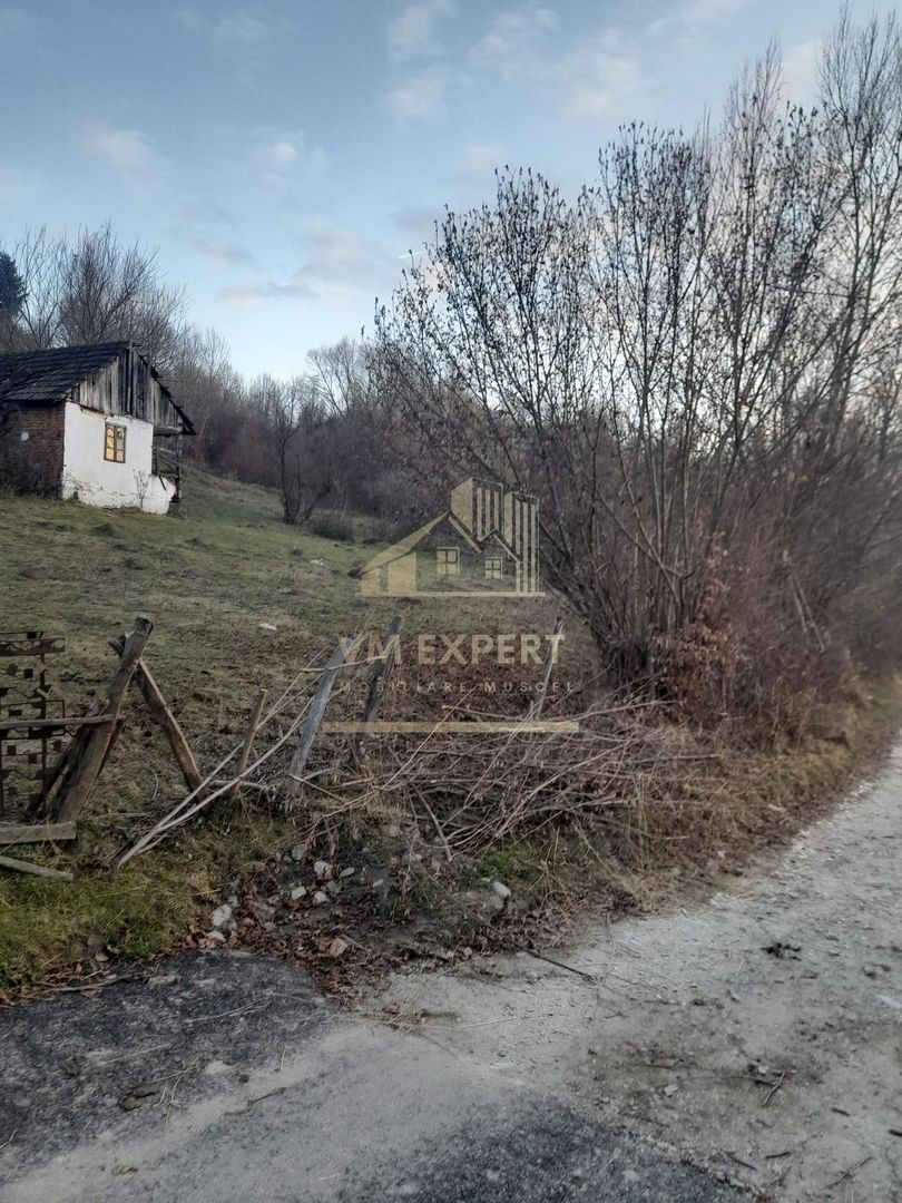 TEREN INTRAVILAN 5461 MP, BUGHEA DE JOS, ARGES - Poză 4