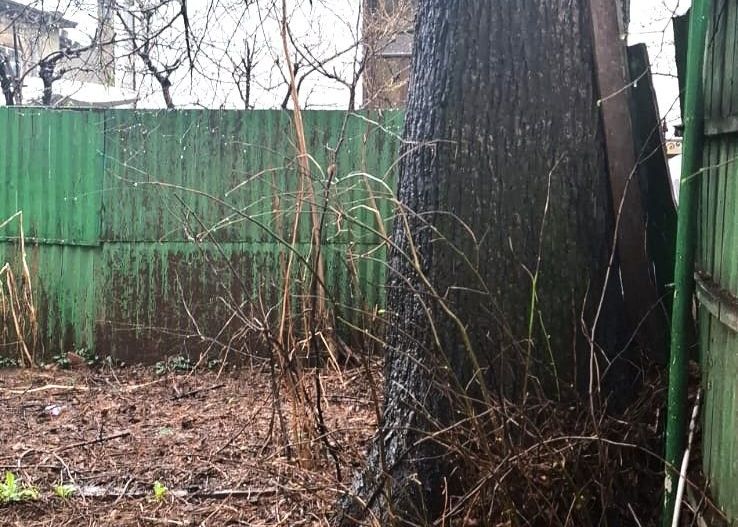 Sanctuar de Epocă: Reședință Grandioasă cu 10 Camere, Turn și Grădină - Poză 24