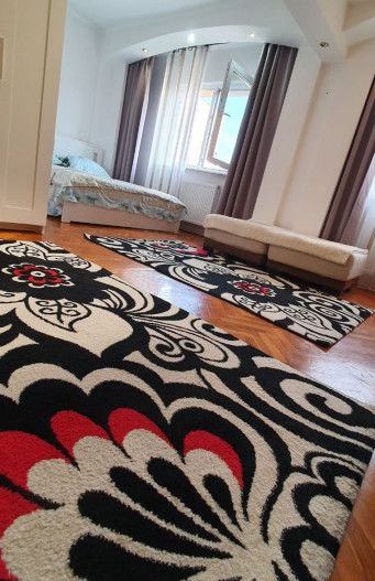 Inchiriere apartament spatios, Centru - Eremia - Poză 11