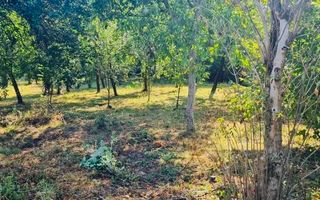 BG131-Teren: 2.822 mp pentru Proiect Imobiliar Premium COMISION 0% - Poză 4