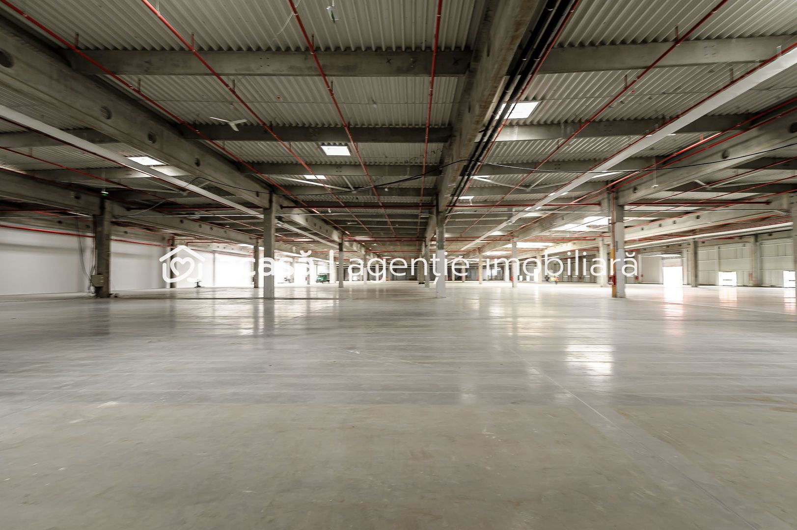 Închiriere spații industriale în Industria Park Arad - Poză 7