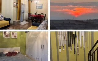 DTL Family Market Miroslava Casă P+E, 232 mp de teren,3 dormitoare,2 băi,mobilată, cartier privat - Poză 9