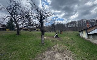 TEREN INTRAVILAN 4365 MP POENARII DE MUȘCEL  JUDEȚUL ARGES - Poză 6