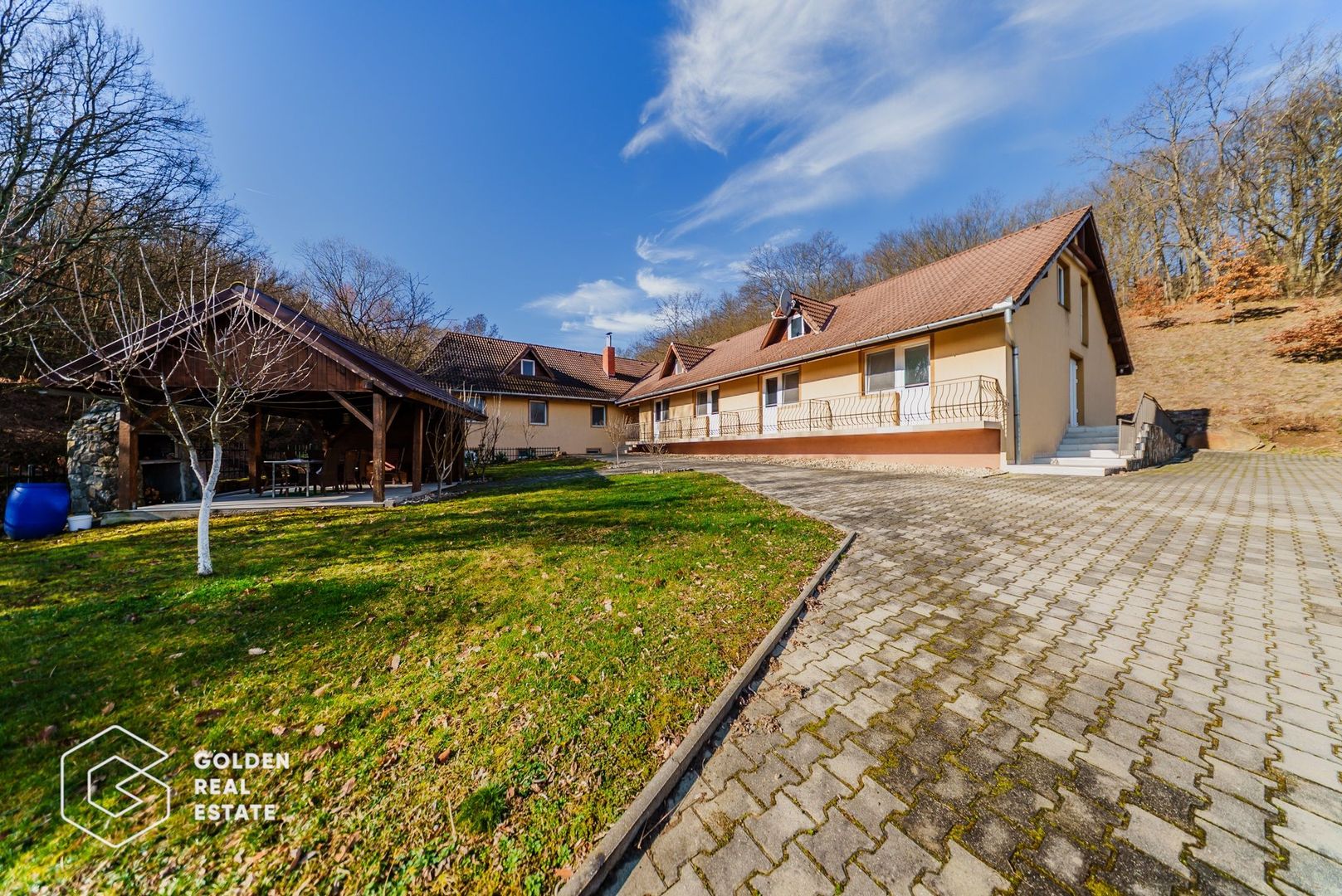 Proprietate pretabila pentru afacere, Cladova - Poză 1