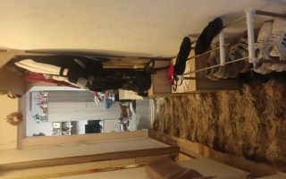 BRASADAS vinde ap 2 cam IRIS. - Poză 5