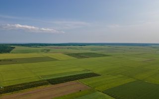 Vînzare, teren agricol, 25,3 ha, s. Peresecina, Orhei. - Poză 4