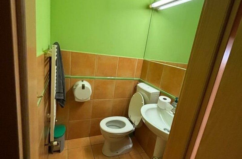 Spatiu comercial langa Medicina si Prefectura - Poză 12