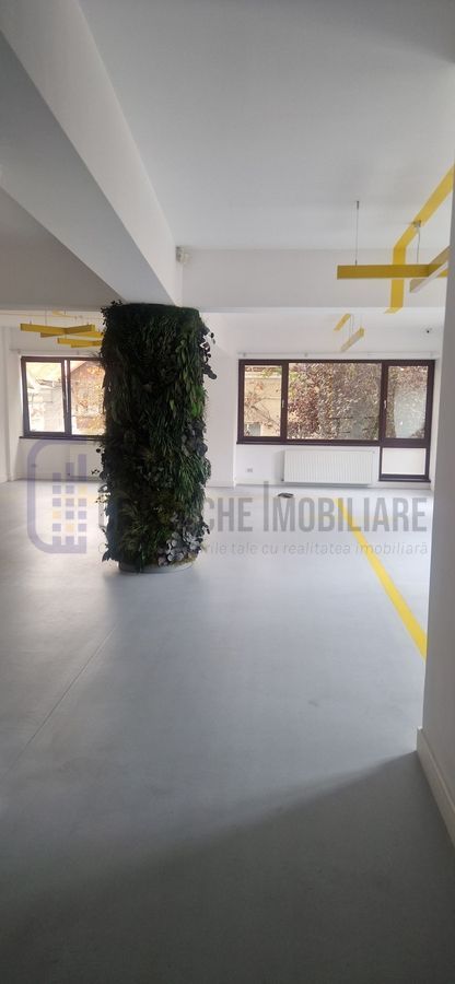 Vila P+2, suprafata 380 mp, Principatele Unite, Piata Unirii - Poză 11