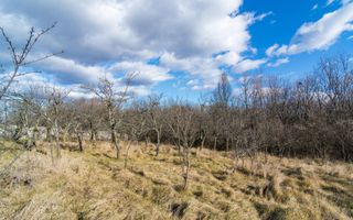 Casa traditionala argeseana – comuna Vedea, jud. Arges - Poză 6