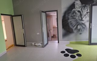 BRASADAS vinde casa 4 cam Sararie - Copou. - Poză 6