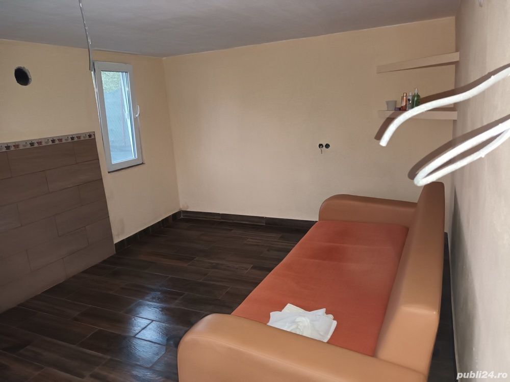 BRASADAS vinde casuta de vacanta in Ardud. - Poză 4