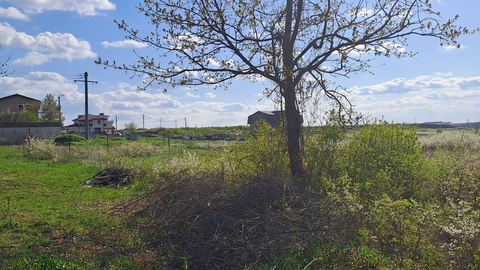 Mogosoaia, teren 792 mp, vedere la lac, utilitati, statie STB la 750m - Poză 2