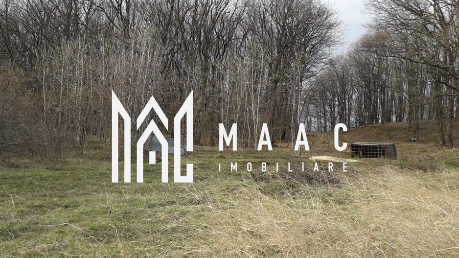 Teren Extravilan 4.572mp | Zonă liniștită | Sadu - Poză 5