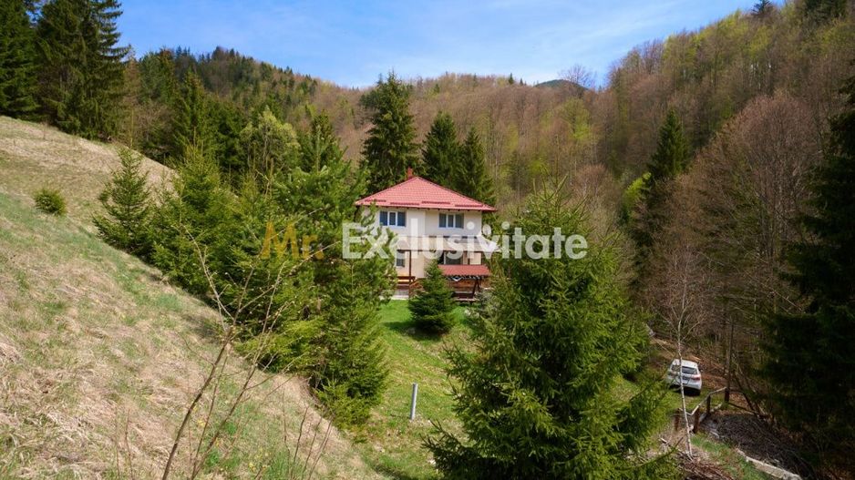 Casa de vacanta sau pensiune in Dâmbovicioara 5 camere, 5 bai, 6412 mp teren - Poză 6
