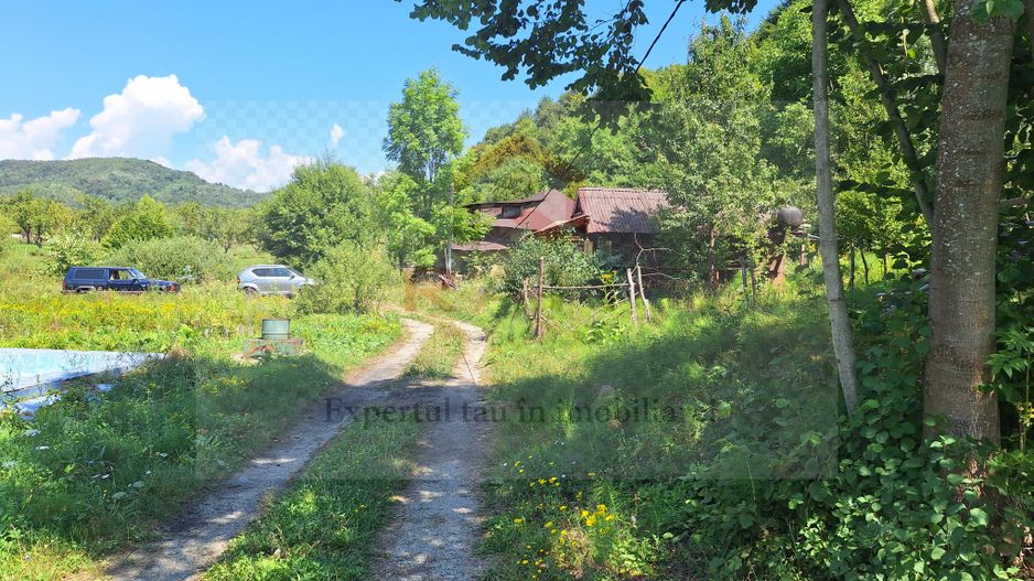 VANZARE ANSAMBLU CASUTE BRADULET ARGES - Poză 15