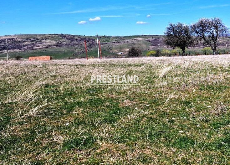 Teren situat în Daia Nouă!! - Poză 4