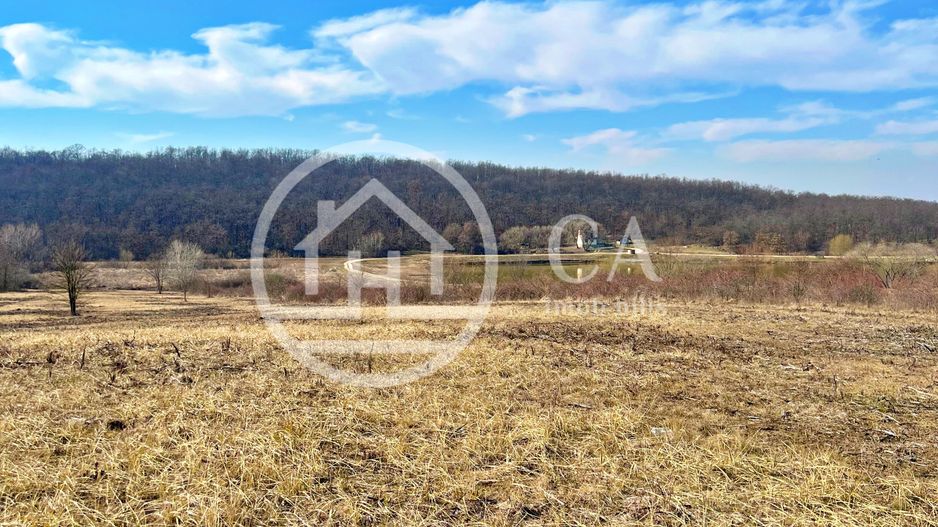 Teren 10.071 mp de vanzare in Paleu, Bihor - Poză 3