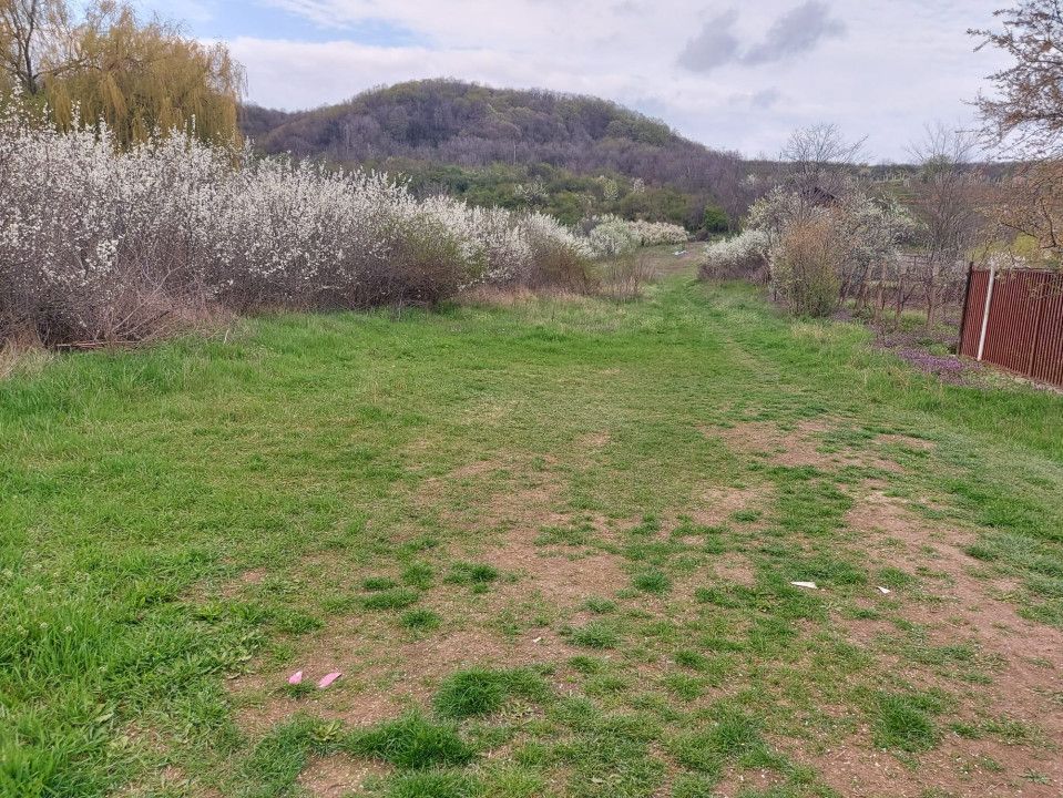 Teren Topoloveni - 3670 mp - langa padure, aproape de Centrul orasului  - Poză 2